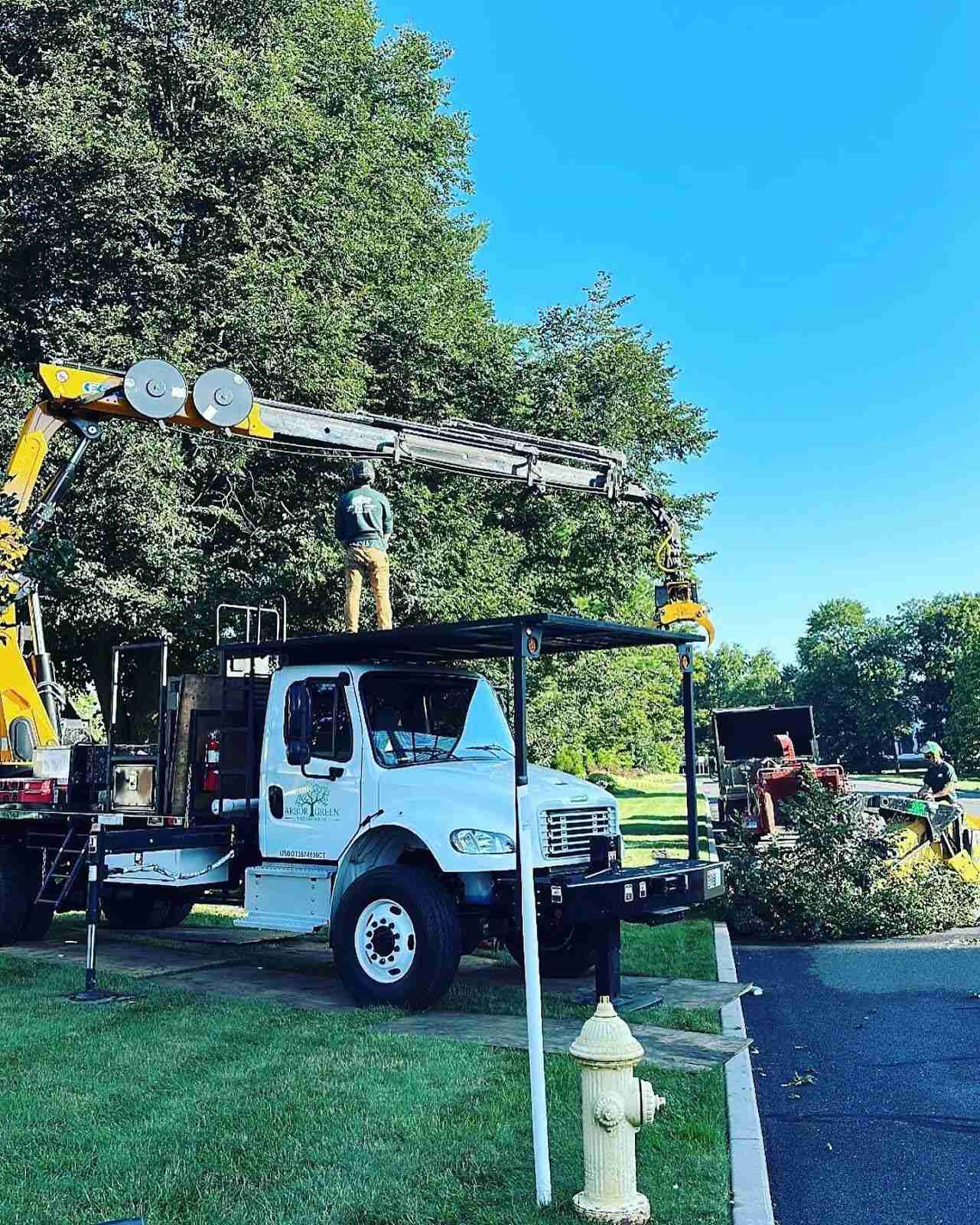 Commercial Property Tree Removal for Trumbull Business Owner: Arbor Green Tree Service’s Professional Navigation 3 Tree removal in Trumbull, CT